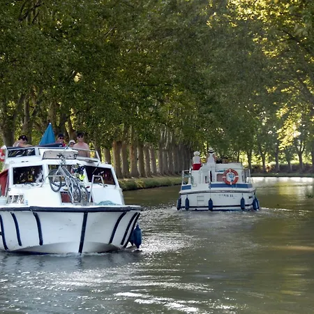 아파트 La Orange - Proche Cite Medievale Et Centre A Pied 카르카손